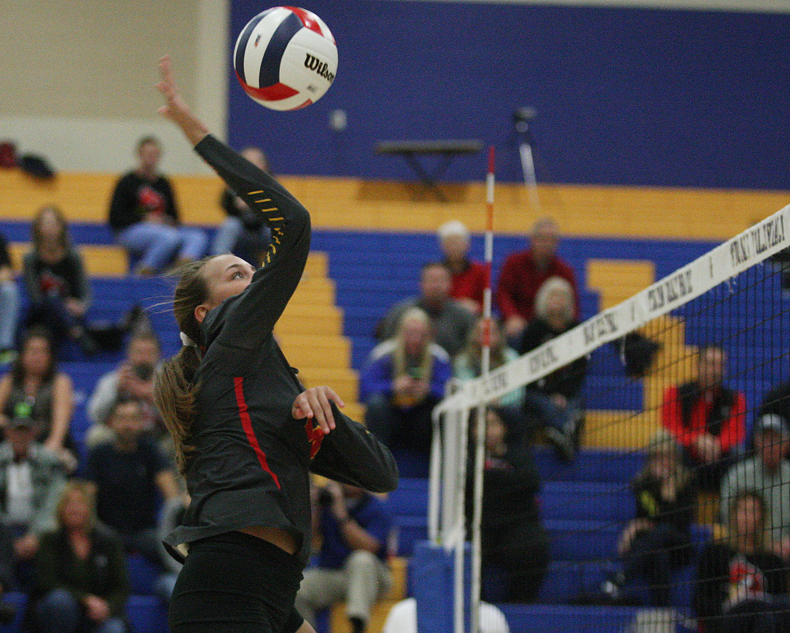 AO vs WL volleyball 23 10.23.17.jpg